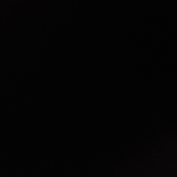 Meet your Posher, Ayden - Picture 1 of 1